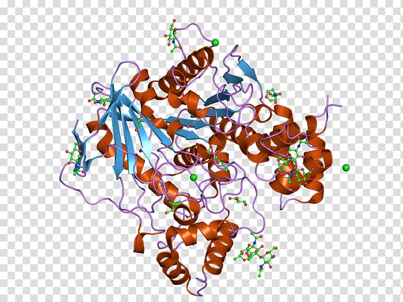 Butyrylcholinesterase Acetylcholinesterase, others transparent background PNG clipart