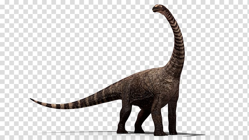 brontosaurus illustration, Dinosaur Stegosaurus, Dinosaur transparent background PNG clipart