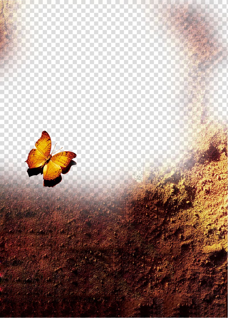 Butterfly Rain Weather, Misty weather transparent background PNG clipart