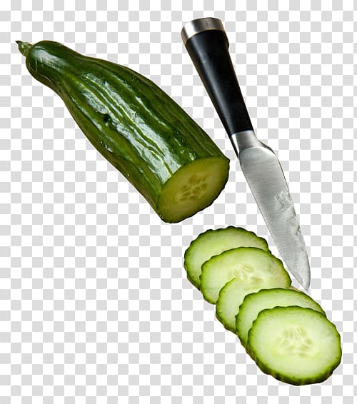 Pickled cucumber Food Pickling Hamburger Vegetable, cucumber slice transparent background PNG clipart