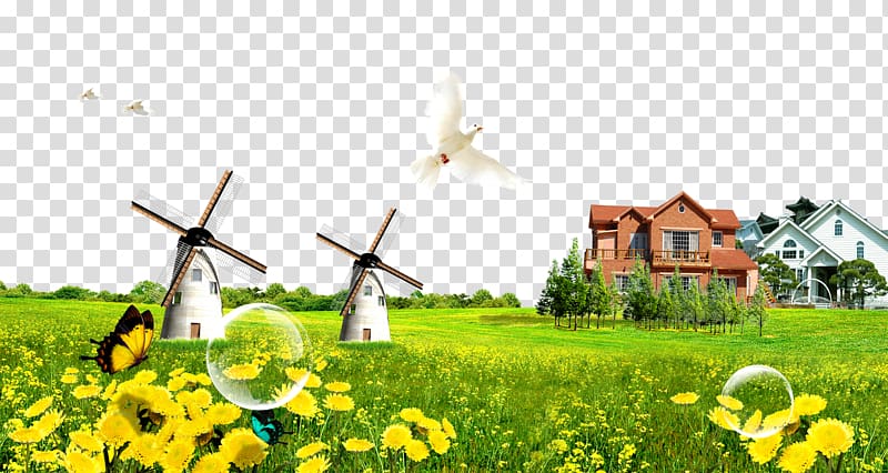 , Green grass house Peace dove transparent background PNG clipart