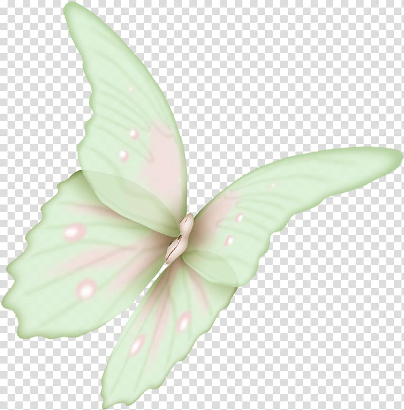 Butterfly Flight Wing Icon, Flying Butterfly transparent background PNG clipart