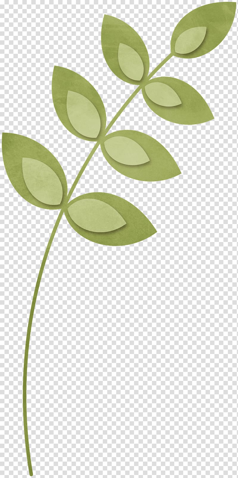 Scrapbooking Plant stem Branch, fairy lights transparent background PNG clipart