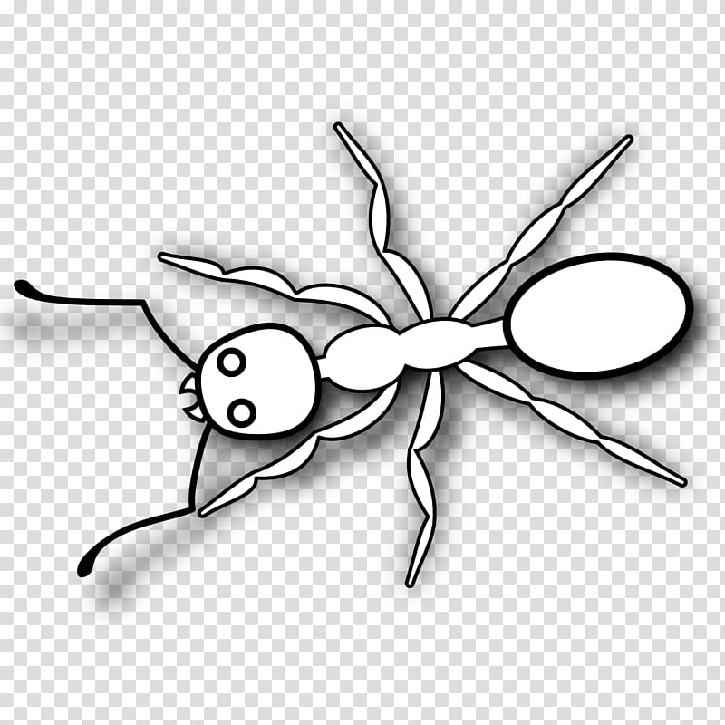 Ant Black and white Coloring book , ants transparent background PNG clipart