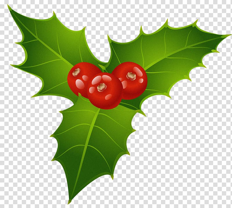Mistletoe Christmas Common holly Candy cane , Christmas Mistletoe , three red cherries transparent background PNG clipart