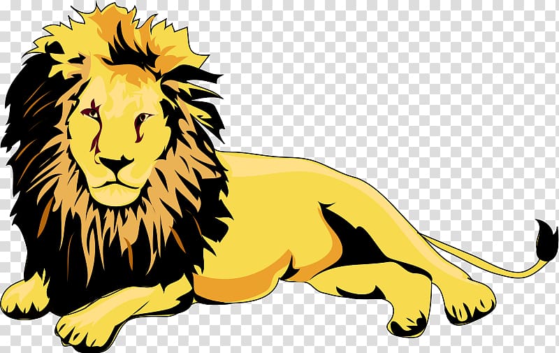 Lion Cougar , African Lion transparent background PNG clipart