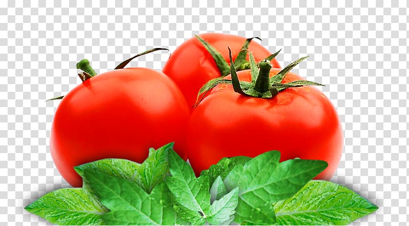 Organic food Tomato juice Vegetarian cuisine Tomato paste Vegetable, vegetable transparent background PNG clipart