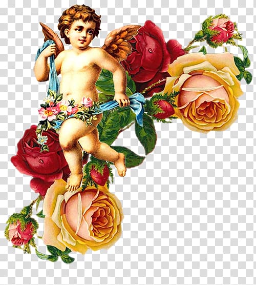 Cherub Garden roses Angel Bokmärke Flower, angel transparent background PNG clipart