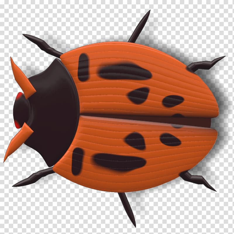 black and orange ladybug illustration, Ladybug Black and Red transparent background PNG clipart