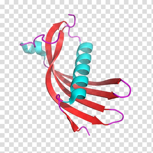 Hereditary cystatin C amyloid angiopathy Protein Disease, others transparent background PNG clipart