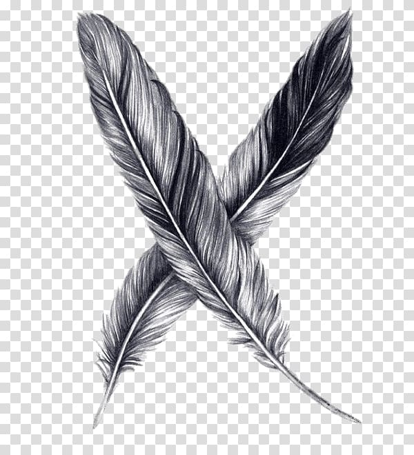 two gray-and-black feather illustration, Feathers Drawing transparent background PNG clipart
