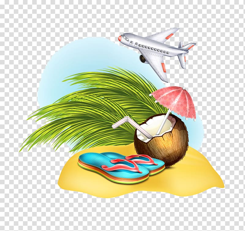 Illustration, Flops and coconut illustration airplane under transparent background PNG clipart