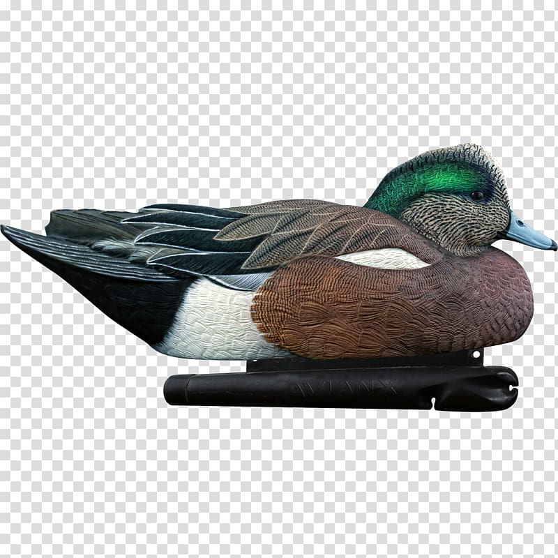 Mallard Duck decoy Duck decoy Goose, duck transparent background PNG clipart