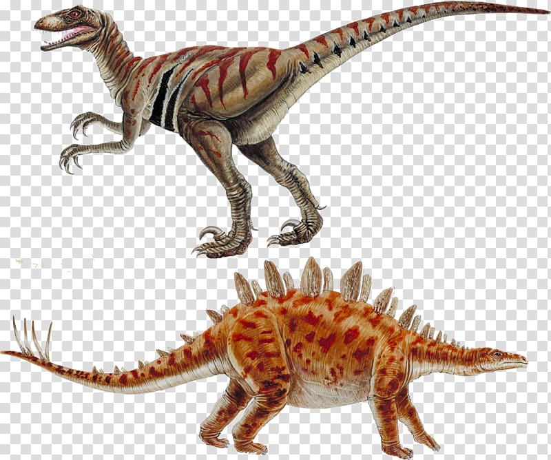 Dinosaur Deinonychus Velociraptor Stegosaurus Allosaurus, Cretaceous Dinosaur transparent background PNG clipart