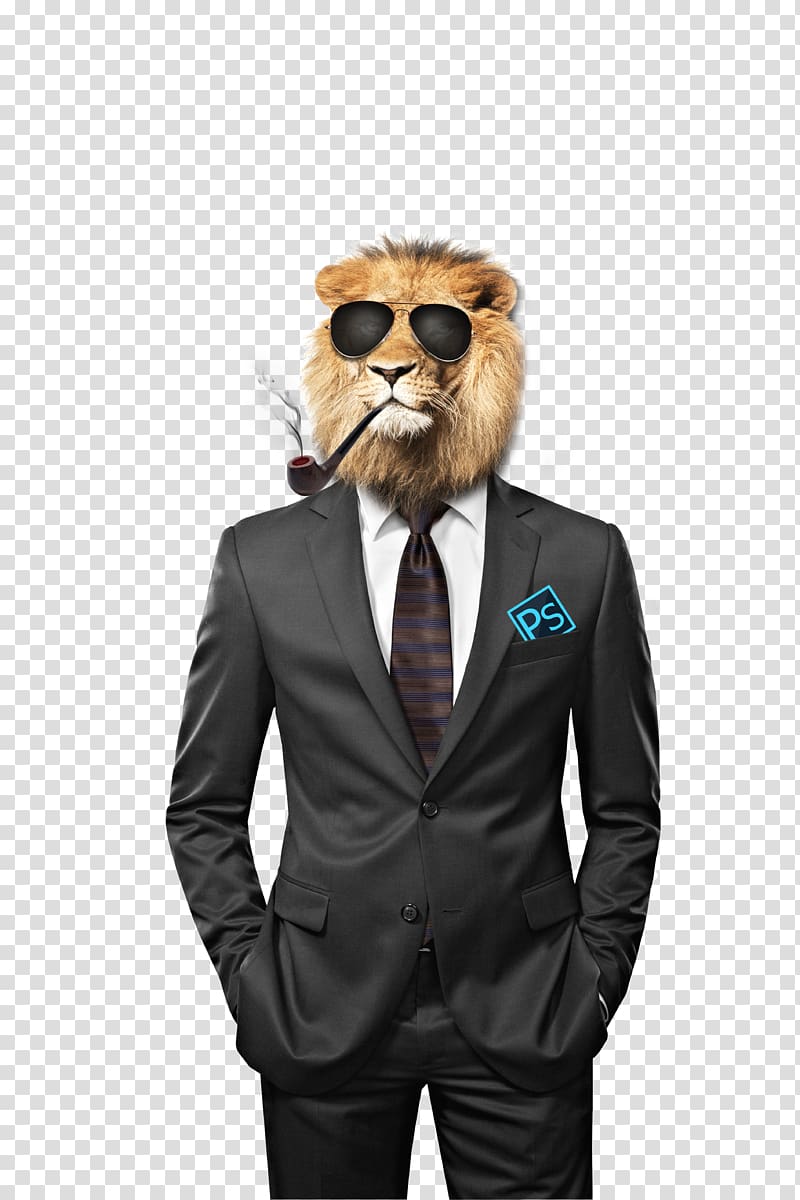 lion head funny illustrations transparent background PNG clipart