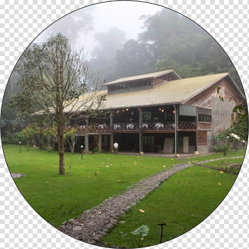 Borneo Rainforest Lodge Accommodation Danum Valley Conservation Area Package tour, Tour Package Billboard transparent background PNG clipart