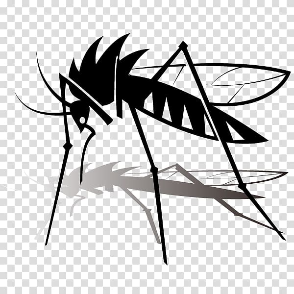 Mosquito Insect , Mosquito transparent background PNG clipart