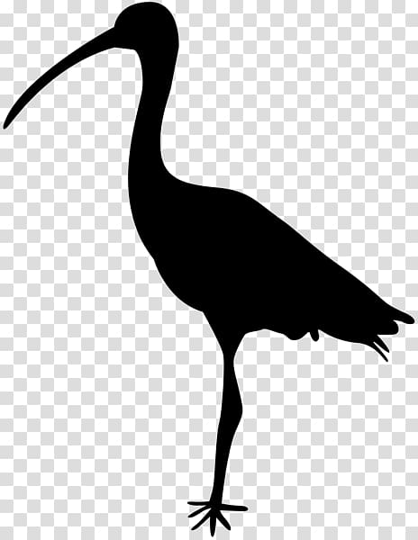 Crane Bird Heron Ibis , crane transparent background PNG clipart