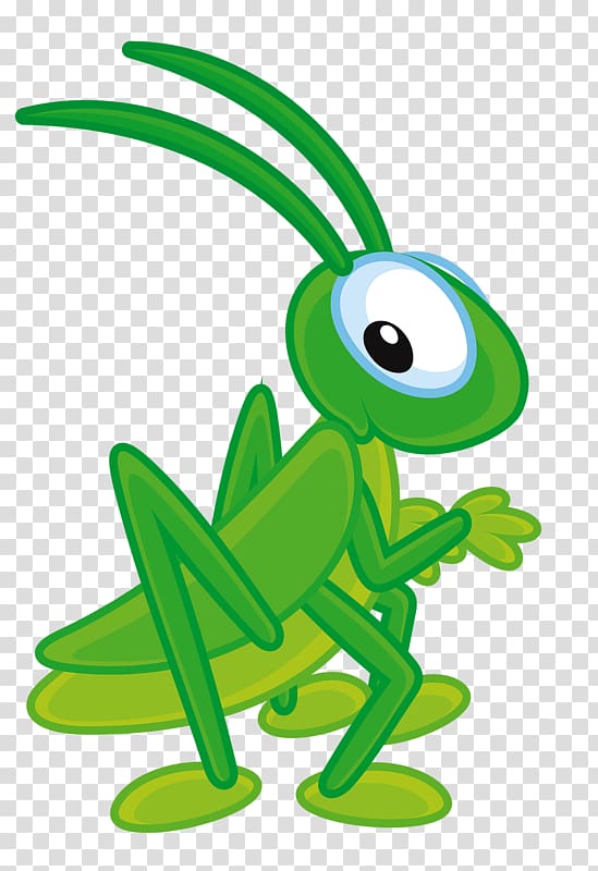 green grasshopper illustration, Insect Cricket , Small grasshopper transparent background PNG clipart