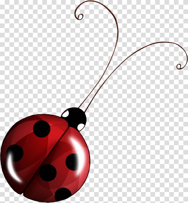 Insect Seven-spot ladybird Animal , insect transparent background PNG clipart