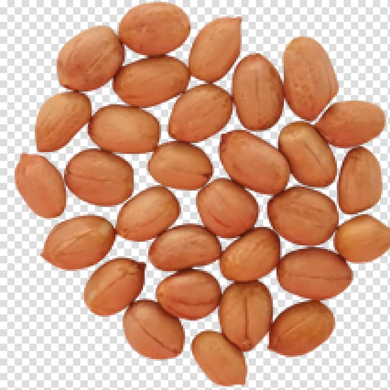 Deep-fried peanuts Maylari Agro Products Ltd. Boiled peanuts, others transparent background PNG clipart
