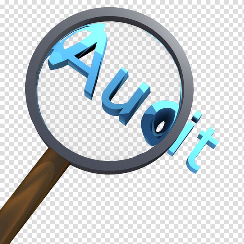 Information technology audit Internal audit Accounting Accountant, Fantastic transparent background PNG clipart