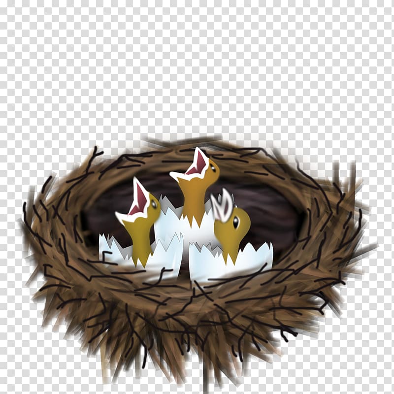 Bird nest Drawing Cartoon, nest transparent background PNG clipart