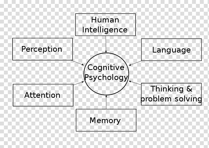 Cognitive psychology Cognition History of psychology Psychologist, others transparent background PNG clipart