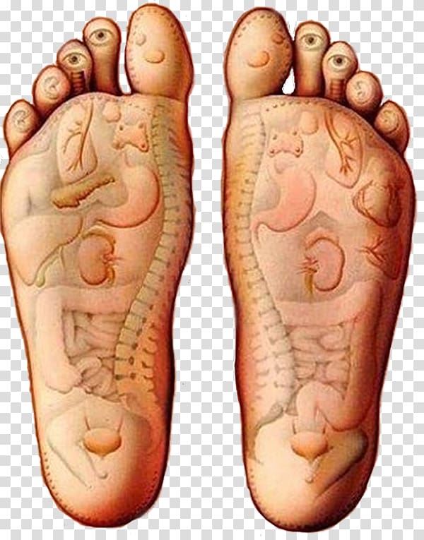 Reflexology Massage Foot Alternative Health Services Acupuncture, health transparent background PNG clipart