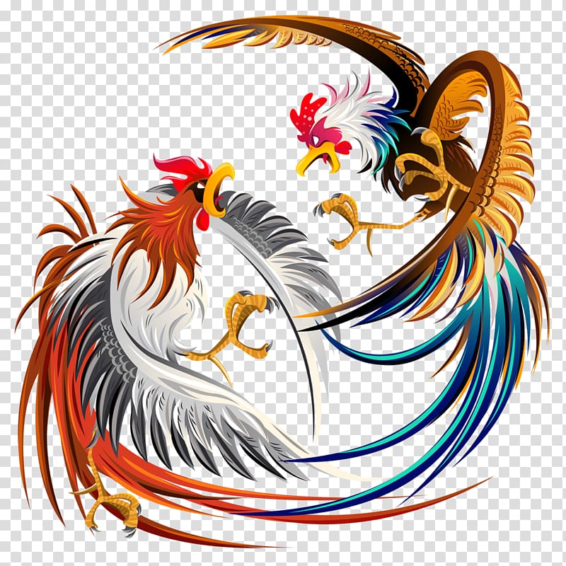 cockfighting transparent background PNG clipart