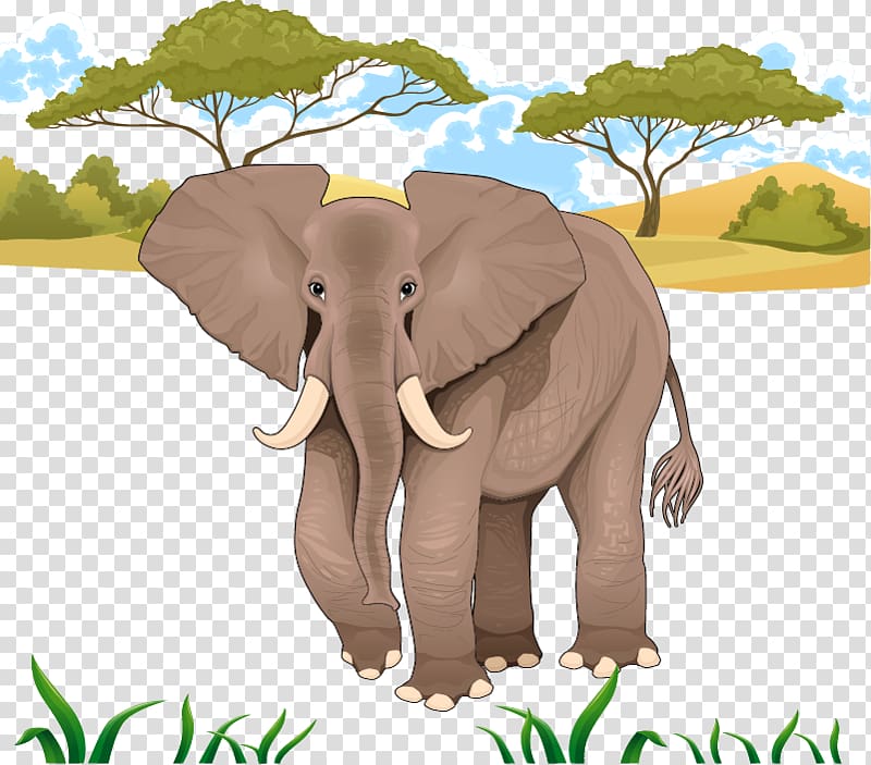 African elephant illustration, Jungle Elephant transparent background PNG clipart