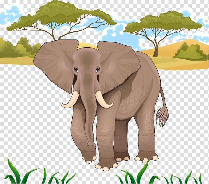 elephants stock clipart images