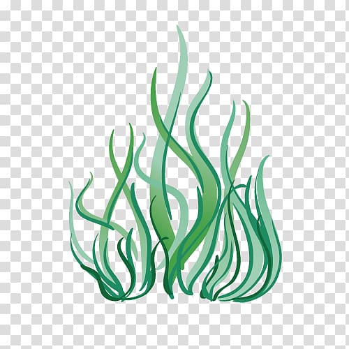 green plant , Seaweed Marine biology Deep sea Aquatic plant, Cartoon deep sea plants transparent background PNG clipart
