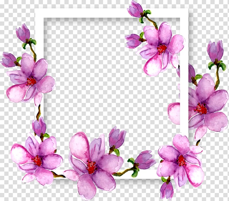 pink flowers , Woman Euclidean , Purple watercolor magnolia flower transparent background PNG clipart