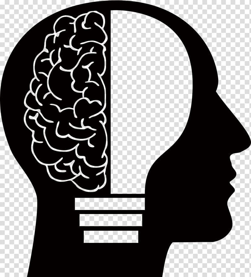 human brain forming light bulb , Human brain Homo sapiens Human head , Brain transparent background PNG clipart