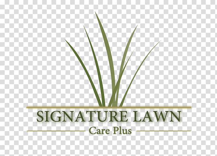 Logo Font Hemp Grasses Plant stem, Landscaping Flyer transparent background PNG clipart