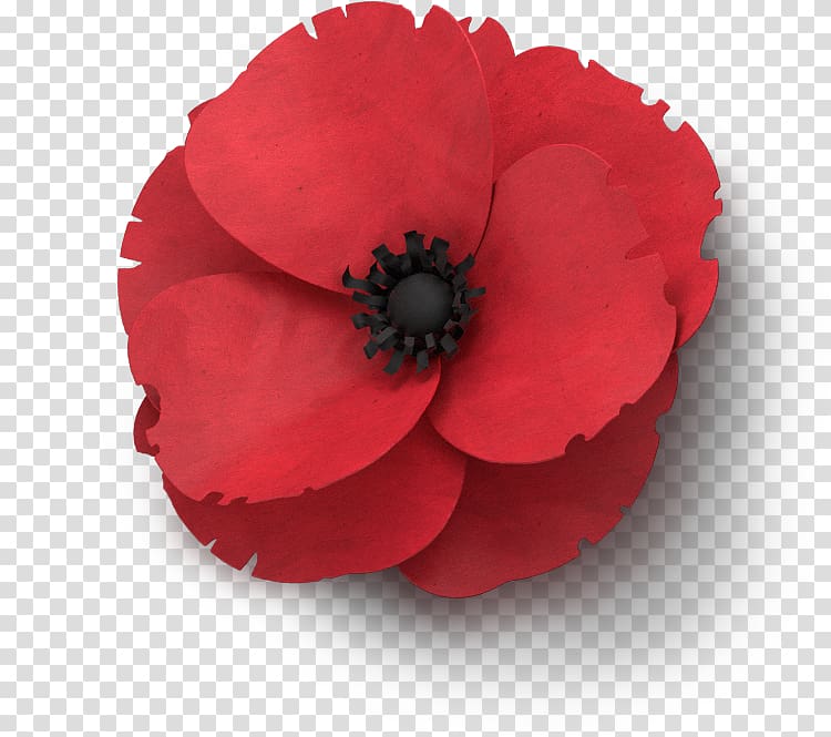 Remembrance poppy Flower In Flanders Fields Armistice Day, poppies transparent background PNG clipart
