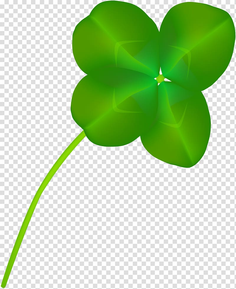Four-leaf clover Symbol White Clover , gastrointestinal transparent background PNG clipart