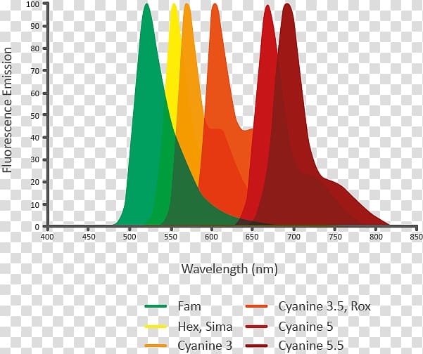 Fluorophore Fluorescence Oligonucleotide Hybridization probe Emission spectrum, fluorescent dye hex transparent background PNG clipart