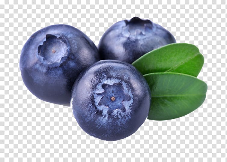 Blueberries transparent background PNG clipart