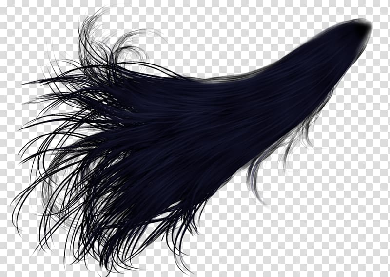 Hair Coloring Ponytail Desktop Long Curly Hair Transparent