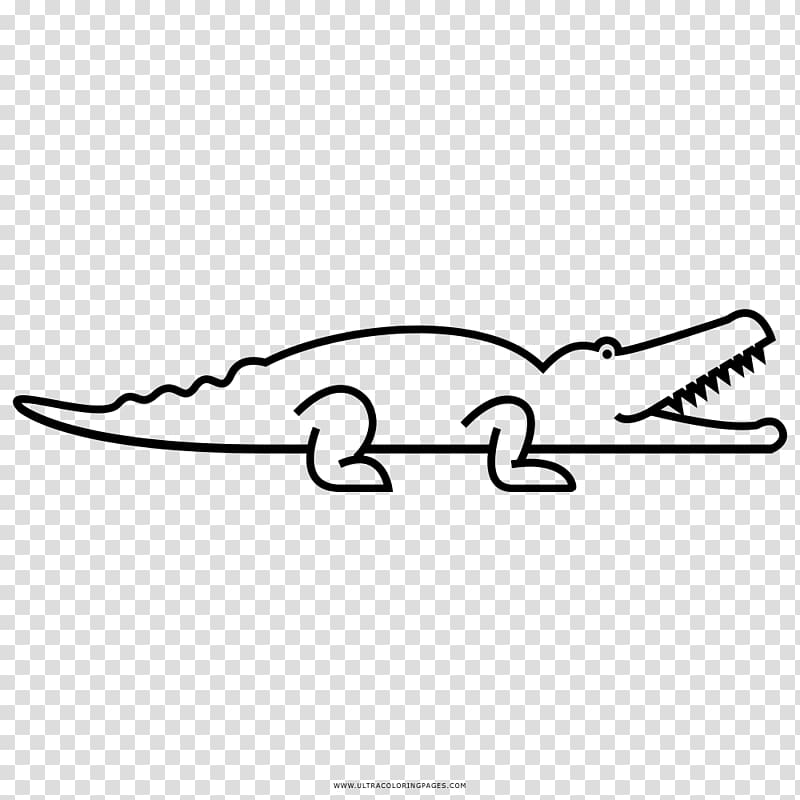 Crocodiles Coloring book Drawing American alligator, crocodile transparent background PNG clipart