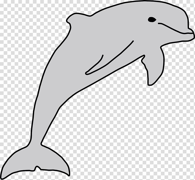 Dolphin , sea life transparent background PNG clipart