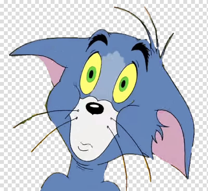 Tom And Jerry Funny Face Meme