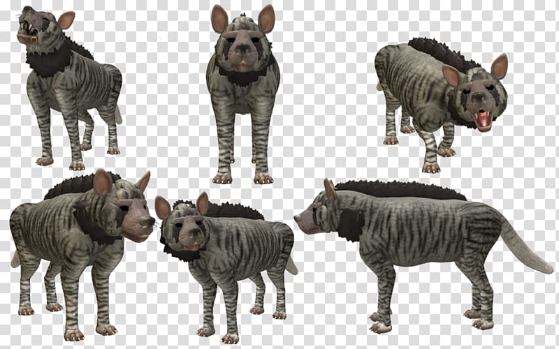 Striped hyena Cattle Wildlife Animal Species, hyenas transparent background PNG clipart
