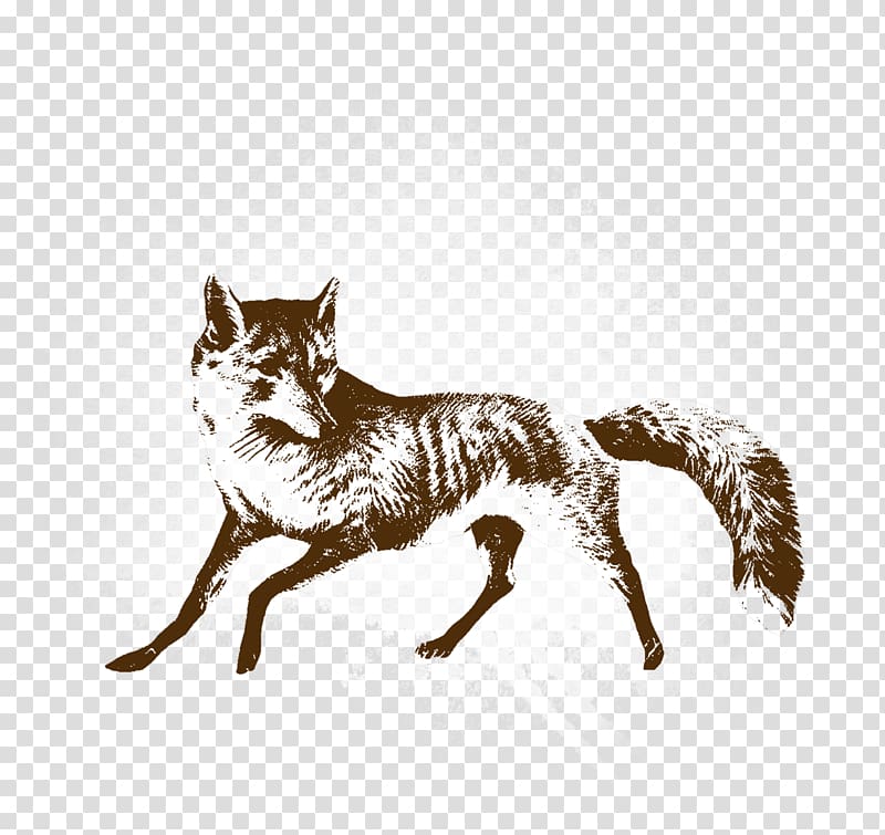Cartoon fox, fox transparent background PNG clipart