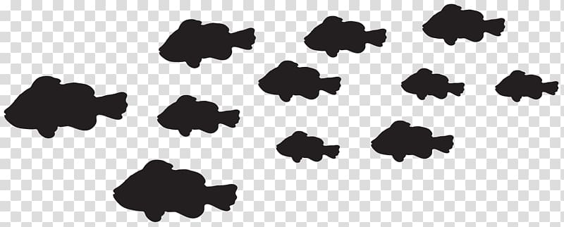silhouette of shoal of fish, Silhouette Fish , Fishes Silhouette transparent background PNG clipart