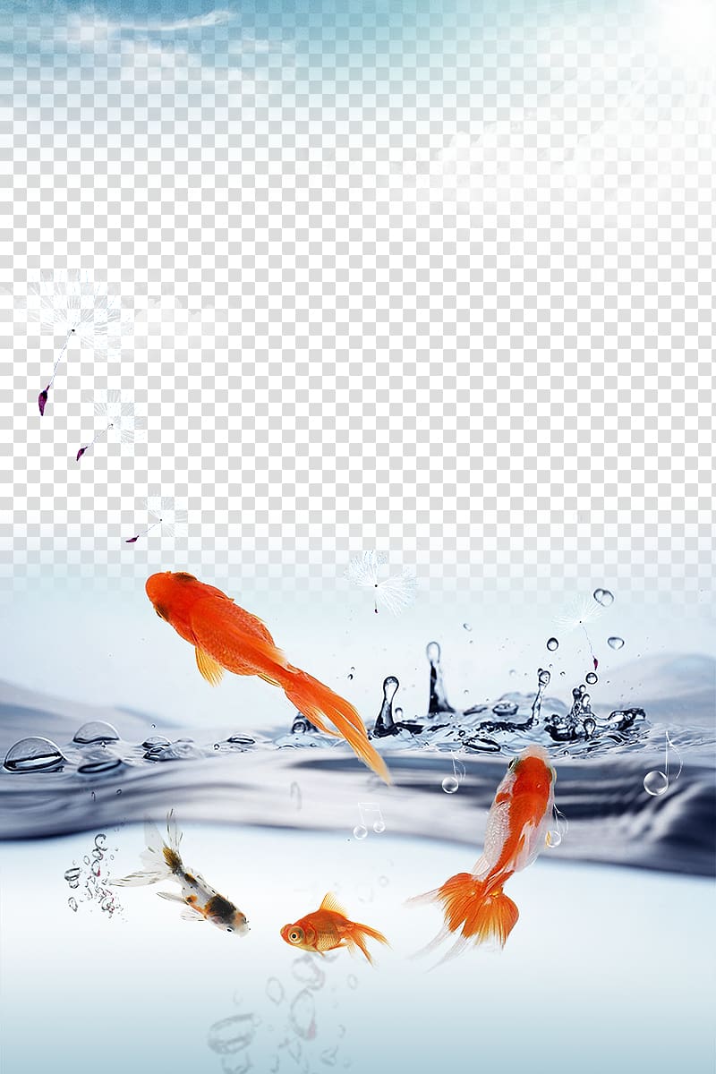Water ionizer Drinking water, Property goldfish lake transparent background PNG clipart