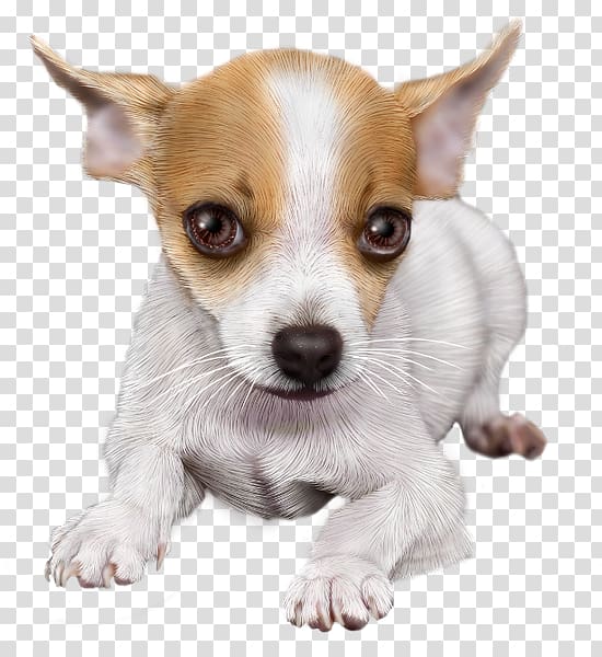 Chihuahua Puppy Dog breed Toy Fox Terrier Miniature Fox Terrier, puppy transparent background PNG clipart