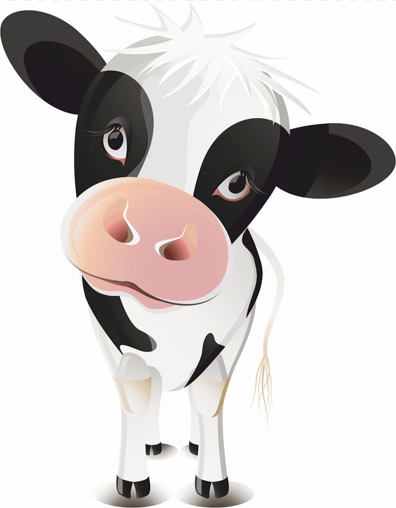white and black cow , Cattle Ox Calf , cow transparent background PNG clipart